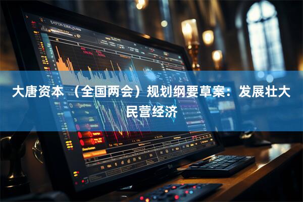 大唐资本 （全国两会）规划纲要草案：发展壮大民营经济