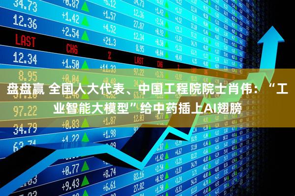 盘盘赢 全国人大代表、中国工程院院士肖伟：“工业智能大模型”给中药插上AI翅膀