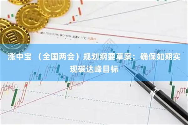涨中宝 （全国两会）规划纲要草案：确保如期实现碳达峰目标