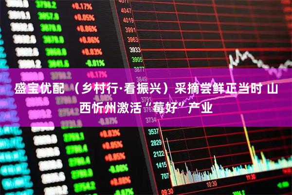盛宝优配 （乡村行·看振兴）采摘尝鲜正当时 山西忻州激活“莓好”产业