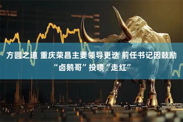 方圆之道 重庆荣昌主要领导更迭 前任书记因鼓励“卤鹅哥”投喂“走红”