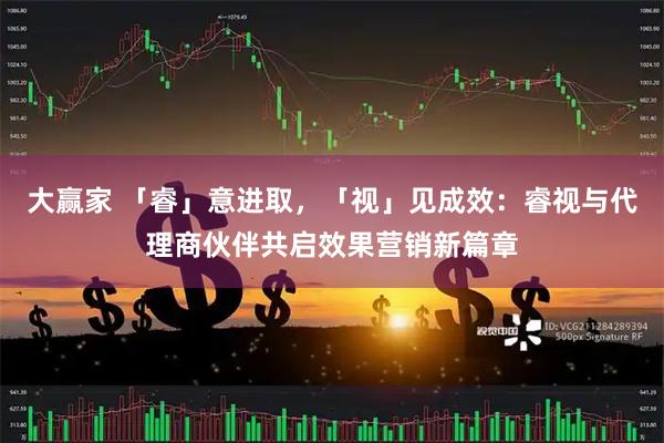 大赢家 「睿」意进取，「视」见成效：睿视与代理商伙伴共启效果营销新篇章