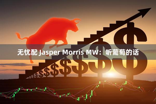 无忧配 Jasper Morris MW：听葡萄的话