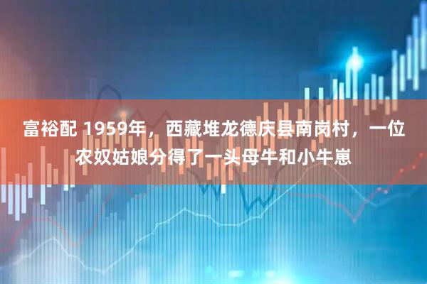富裕配 1959年，西藏堆龙德庆县南岗村，一位农奴姑娘分得了一头母牛和小牛崽